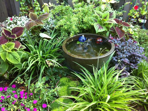 small-water-garden-designs-70_17 Дизайн на малка водна градина