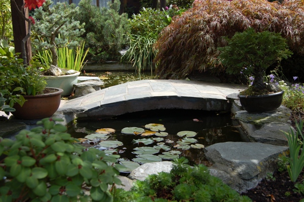 small-water-garden-ideas-56_10 Идеи за малка водна градина