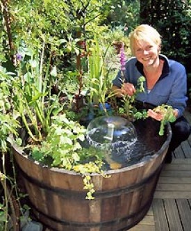 small-water-garden-ideas-56_18 Идеи за малка водна градина