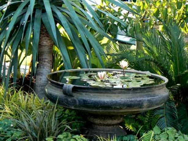 small-water-garden-ideas-56_20 Идеи за малка водна градина