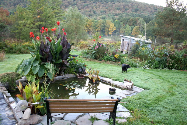 small-water-garden-ideas-56_4 Идеи за малка водна градина