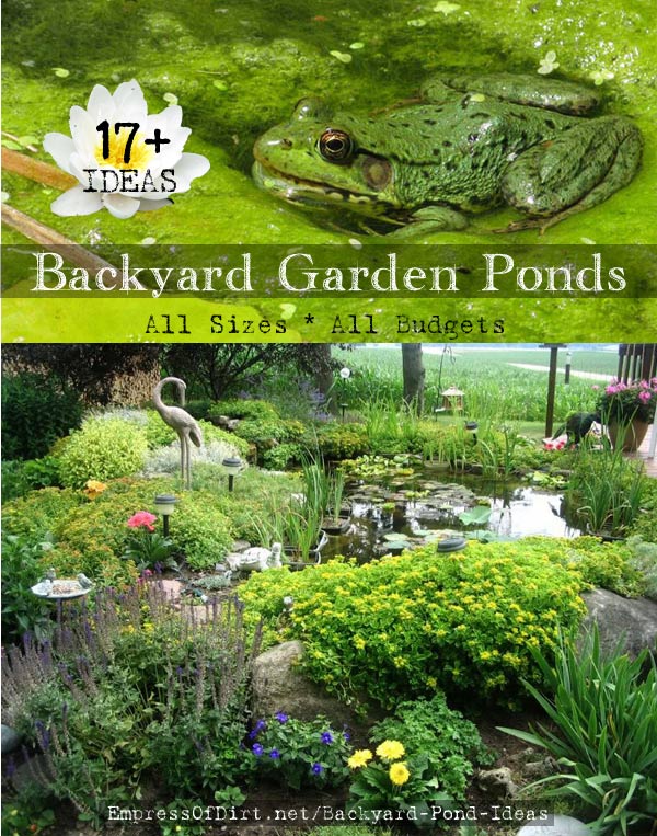 small-yard-pond-ideas-34_13 Малък двор езерце идеи