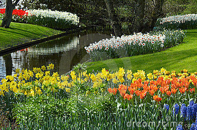 spring-flower-garden-40_2 Пролетна цветна градина