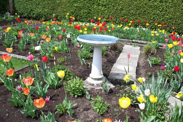 spring-garden-design-ideas-22_9 Пролетна градина дизайн идеи