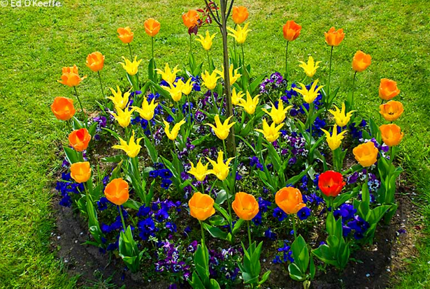 spring-garden-design-59_14 Пролетна градина дизайн