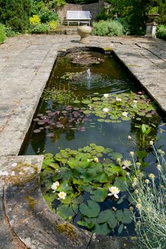 square-garden-ponds-63_5 Квадратни градински езера