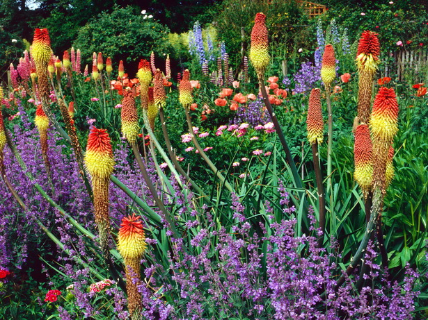 summer-flower-garden-ideas-55_4 Идеи за лятна цветна градина
