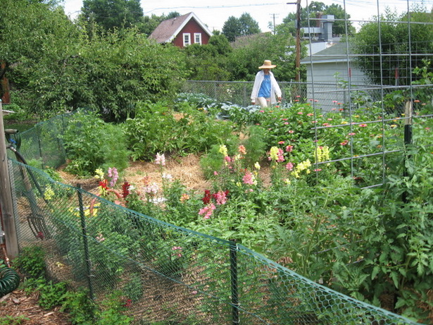 summer-vegetable-garden-55_10 Лятна зеленчукова градина