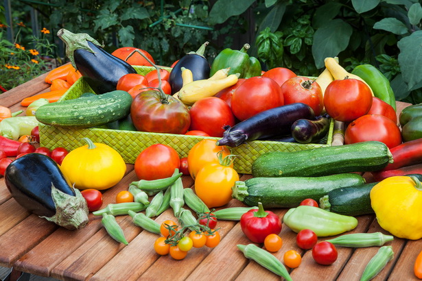 summer-vegetable-garden-55_4 Лятна зеленчукова градина