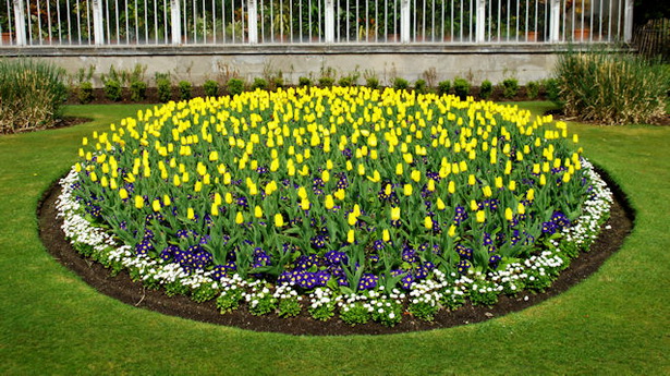 the-flower-bed-44_6 Цветното легло
