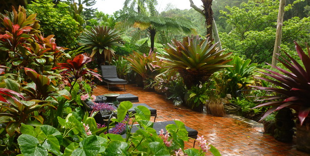 the-tropical-garden-75_2 Тропическата градина