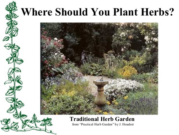 traditional-herb-garden-54_3 Традиционна билкова градина