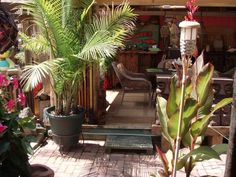 tropical-back-yards-65_11 Тропически заден двор