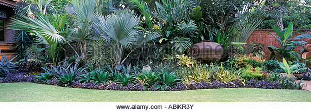 tropical-border-plants-31_8 Тропически гранични растения