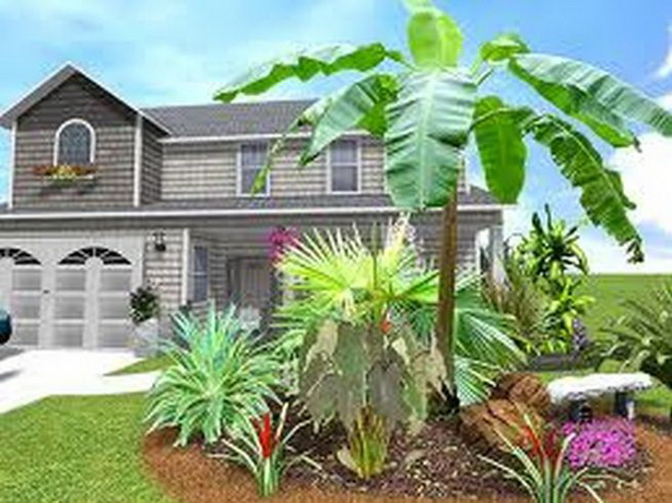 tropical-front-yard-ideas-69_11 Тропически идеи за преден двор
