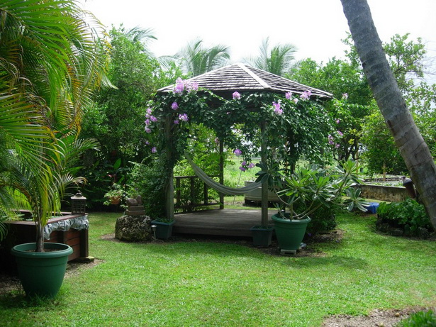 tropical-garden-blog-61_10 Блог за тропическа градина