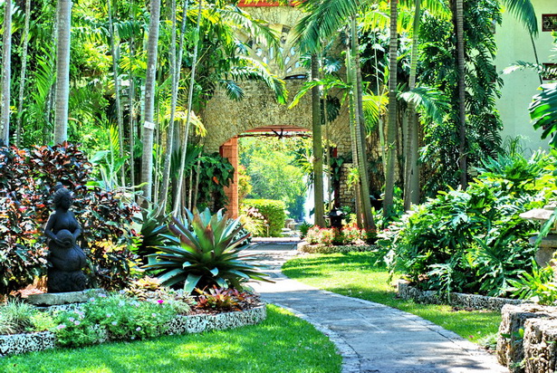 tropical-garden-blog-61_5 Блог за тропическа градина