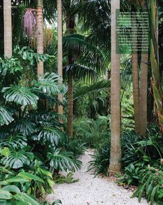 tropical-garden-decor-40_11 Тропическа градина декор