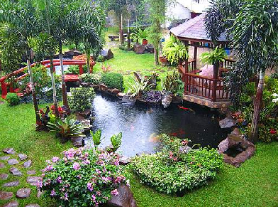 tropical-garden-design-images-64 Тропически градински дизайн изображения