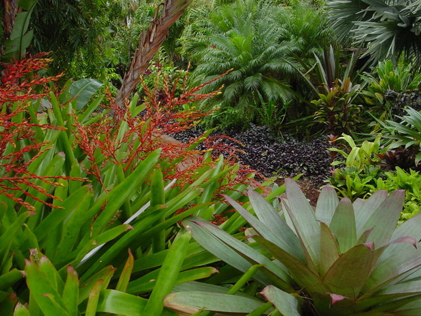 tropical-garden-design-pictures-93_14 Тропически градина дизайн снимки