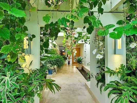 tropical-garden-house-98_12 Тропическа градина къща