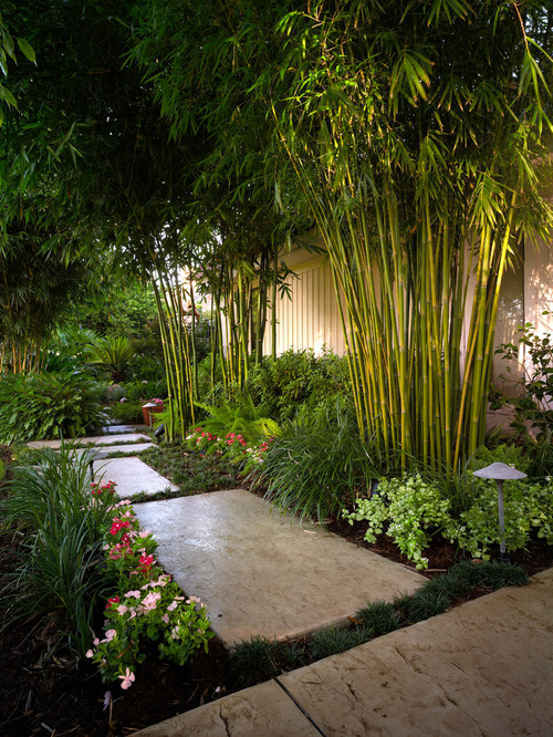 tropical-garden-ideas-pictures-37_13 Идеи за тропическа градина снимки