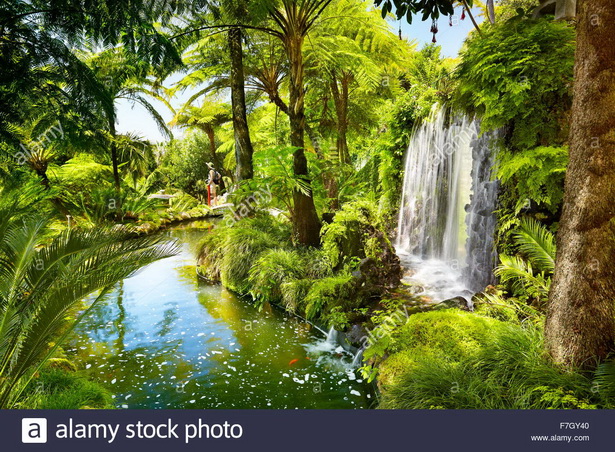 tropical-garden-pics-28_9 Тропическа градина снимки