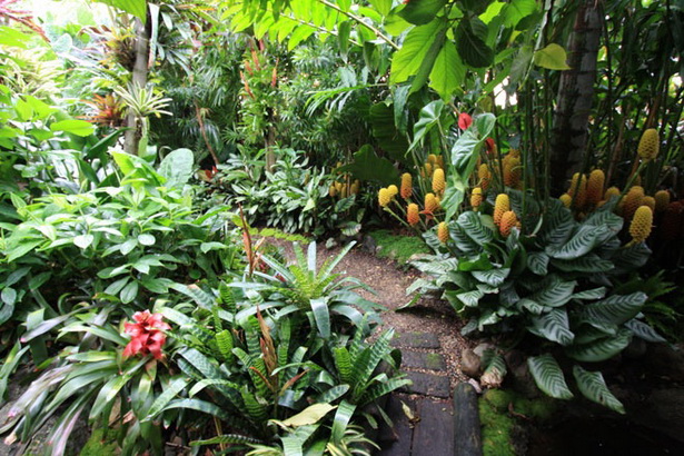 tropical-gardens-queensland-15_3 Тропическите градини Куинсланд