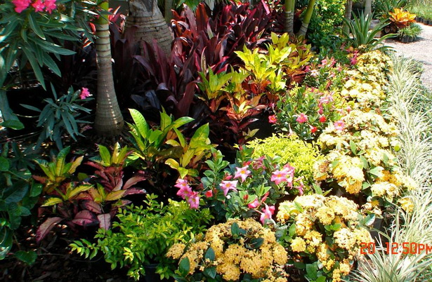tropical-landscape-design-pictures-70_2 Тропически ландшафтен дизайн снимки