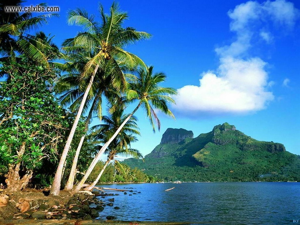 tropical-landscapes-images-92_12 Снимки на тропически пейзажи
