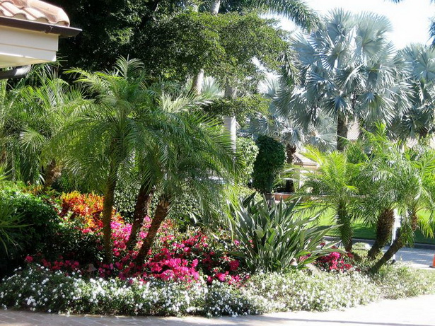 tropical-landscaping-florida-60_14 Тропическо озеленяване Флорида