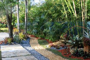 tropical-landscaping-florida-60_9 Тропическо озеленяване Флорида