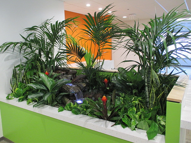 Дизайн на тропически растения