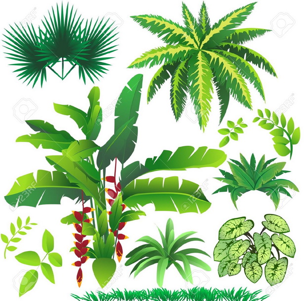 tropical-plant-design-03_16 Дизайн на тропически растения