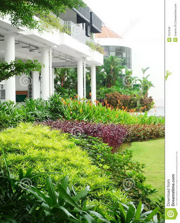 tropical-plant-design-03_5 Дизайн на тропически растения