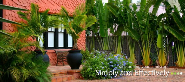 tropical-plants-for-florida-landscaping-24 Тропически растения за Флорида озеленяване