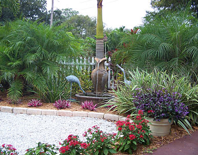 tropical-plants-for-florida-landscaping-24_19 Тропически растения за Флорида озеленяване
