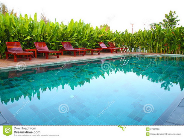 tropical-pool-plants-12_11 Тропически растения в басейна