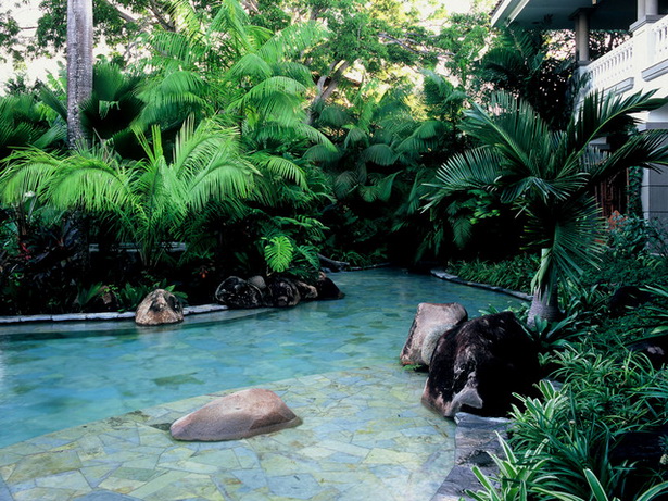 tropical-pool-plants-12_14 Тропически растения в басейна