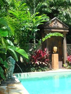 tropical-pool-plants-12_19 Тропически растения в басейна