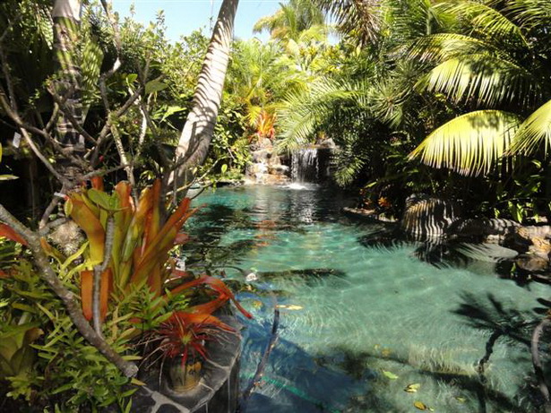 tropical-pool-plants-12_6 Тропически растения в басейна