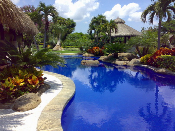 tropical-pool-plants-12_8 Тропически растения в басейна