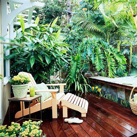tropical-privacy-plants-82_3 Тропически растения за поверителност