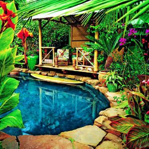 tropical-themed-backyard-94_14 Тропически тематичен заден двор