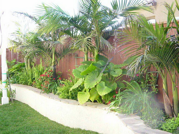 tropical-touch-landscaping-50_17 Тропически докосване озеленяване