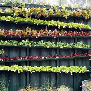 urban-gardening-ideas-15_10 Идеи за градско градинарство
