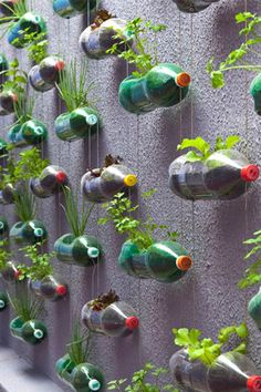 urban-gardening-ideas-15_12 Идеи за градско градинарство