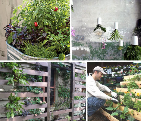 urban-gardening-ideas-15_3 Идеи за градско градинарство