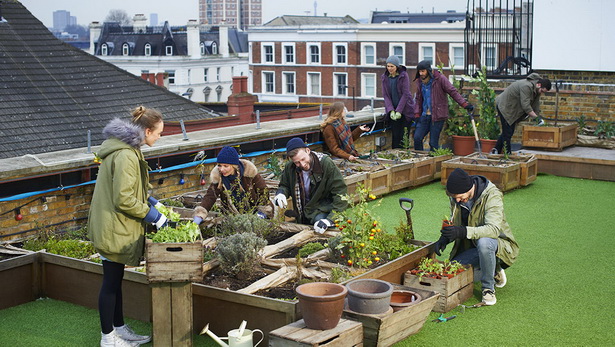 urban-gardening-ideas-15_6 Идеи за градско градинарство