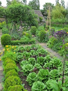 vegetable-flower-garden-design-88_8 Зеленчукова цветна градина дизайн